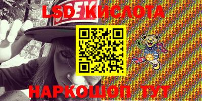 шишки Бердск