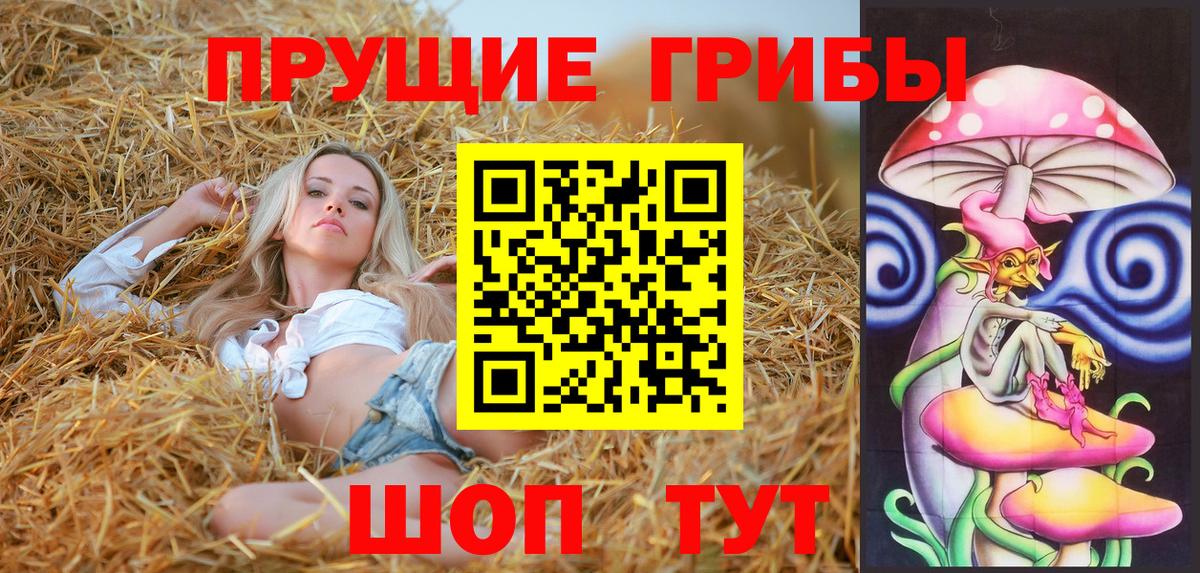 Галлюциногенные грибы Psilocybine cubensis Белорецк