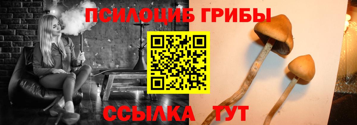 Белорецк  Псилоцибиновые грибы Magic Shrooms  Вход с VPN 