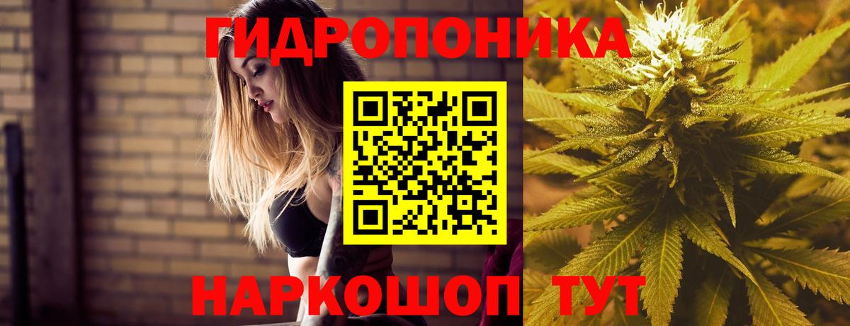Бошки Шишки OG Kush  Каннабис план  Белорецк  Вход с VPN 